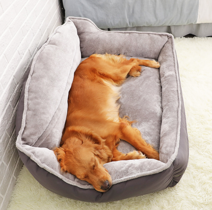 Premium Portable Dog Bed | Comfortable & Supportive