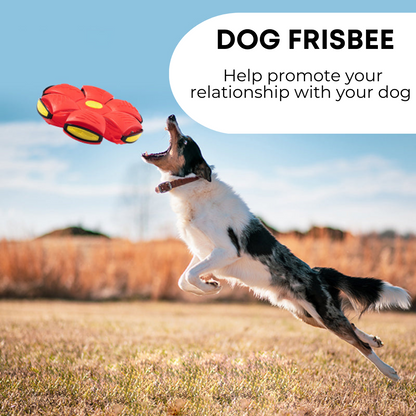 Durable Dog Frisbee | Smart Fetch Toy for Active Pups