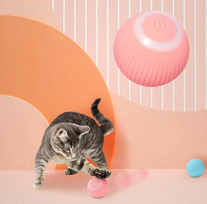 Smart Interactive Cat Toy Ball | Keep Your Cat Entertained